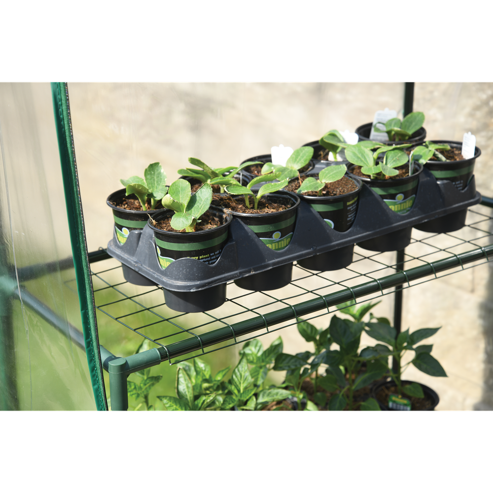 Shelterlogic Grow It Small Greenhouse 4' 8" x 29" x 6' 5"